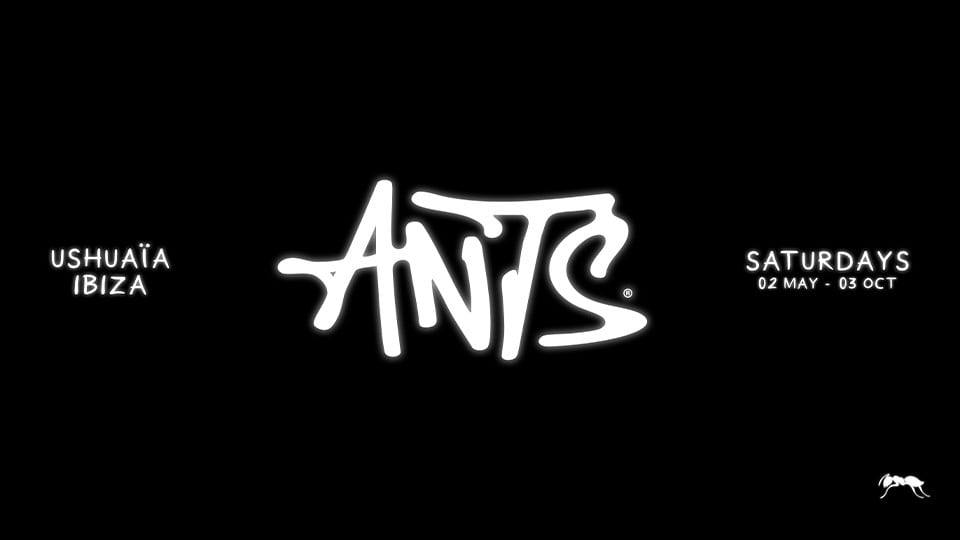 Ants in Ibiza