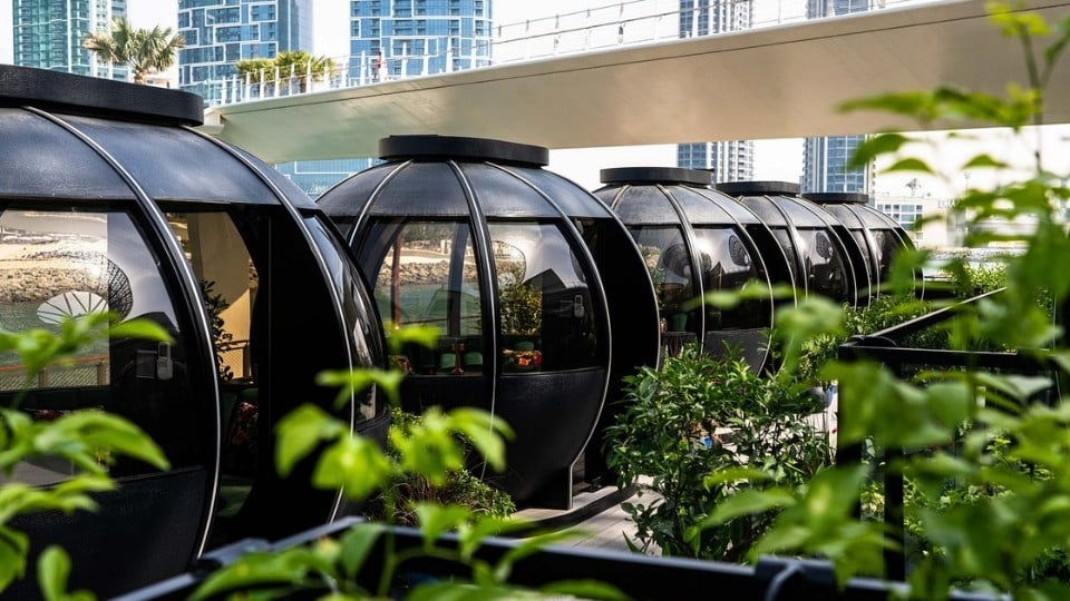 The Pods Signature Dining Experience