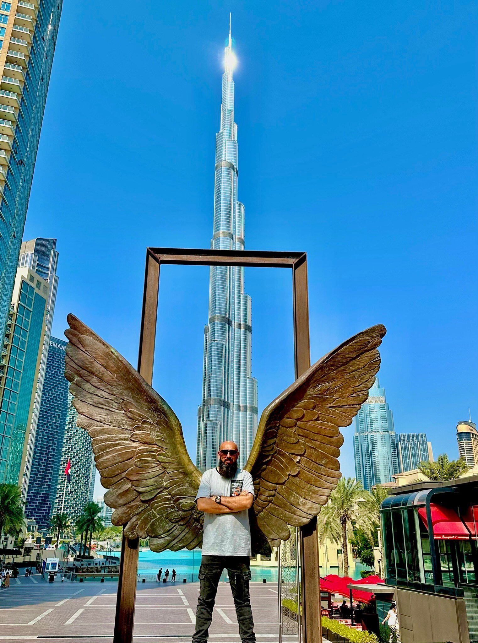 Wings of Mexico